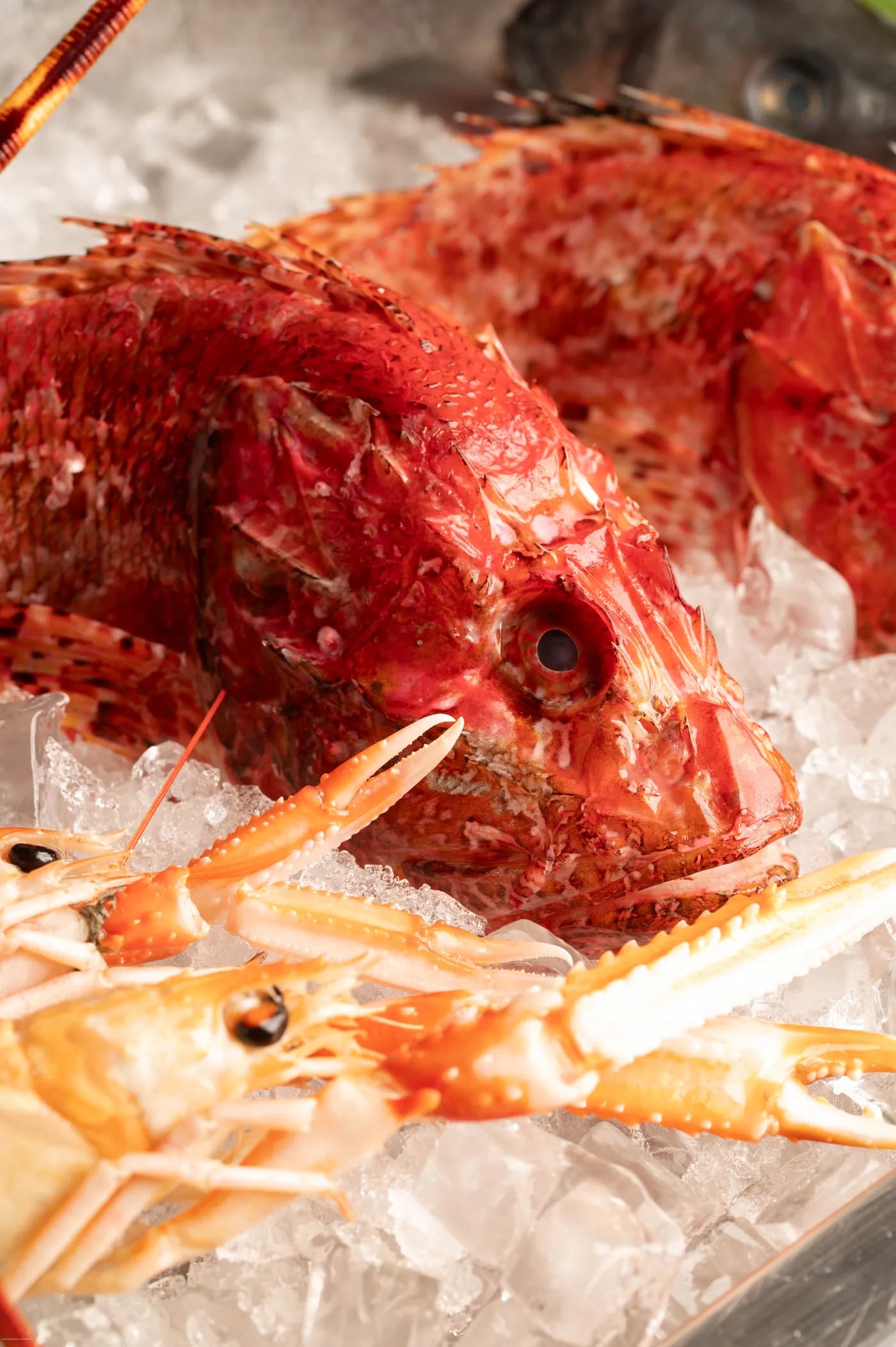 Ristorante Aria — Villasimius