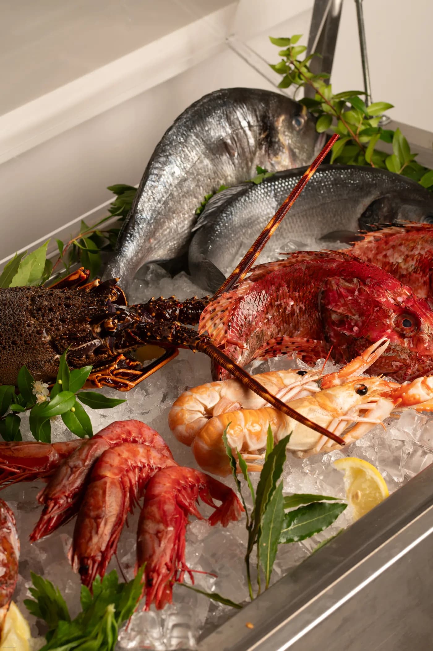Piatto del giorno — Ristorante Aria